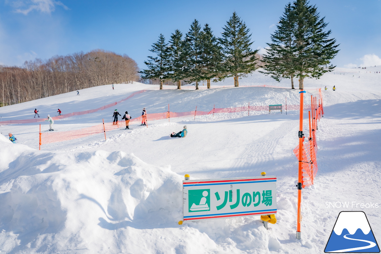 ダイナスティスキーリゾート｜とってもワイドなメインゲレンデと探検気分の林間コース！繰り返し滑れば、自然に上達すること間違い無し(^^)v